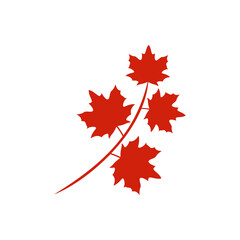 Maple leaf icon vector illustration