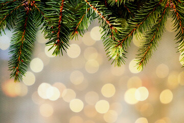 Holiday background. Christmas tree garland on a bokeh background. Spruce branches. The concept of the Christmas and holiday season.