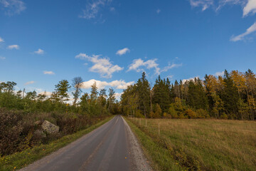 Amazing beauty on road in autumn forest on blue sky with white clouds. Beautiful autumn nature backgrounds.