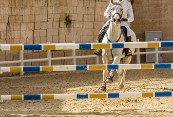 Close Up of a White Horse preparing before a five star equestrian competition in Italy