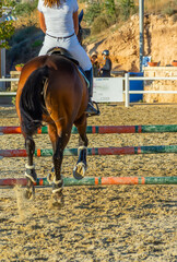 brown horse jumping the obstacle durign a five star competition in Italy