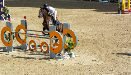 brown horse jumping the obstacle durign a five star competition in Italy