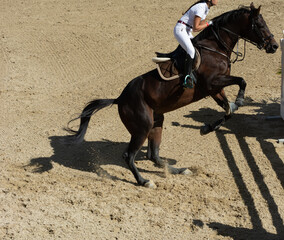 brown horse jumping the obstacle durign a five star competition in Italy