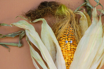 dried corn with eyes. the concept of improper food storage, humor, and horror