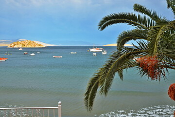 Fototapete bei efototapeten.de bestellen   