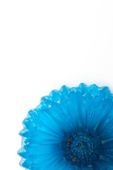 Homemade blue flower from soap