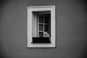 Czech nature. Fields, meadows in autumn. Black and white photo