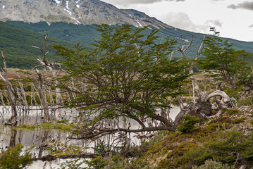 Ushuaia, Tierra del Fuego, Argentina - December 13, 2008: Martial Mountains in Nature Reserve....