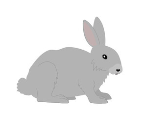 Obraz premium Rabbit on a white background. Cartoon. Vector. 