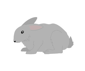 Rabbit on a white background. Cartoon. Vector. 