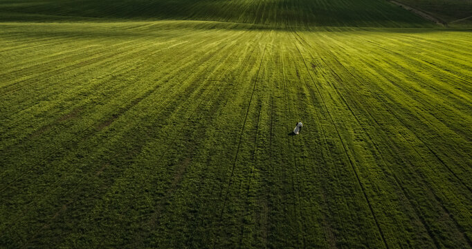 Couple man and woman in a dress go on a meadow. green field from the sky. aerial top view from drone - Powered by Adobe