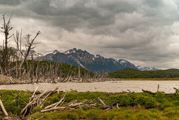 Ushuaia, Tierra del Fuego, Argentina - December 13, 2008: Martial Mountains in Nature Reserve....