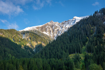 Alpine landscape with snowy peaks and forest-covered slopes
