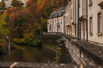 Fototapeta na wymiar Autumn leaves and colors over Luxembourg city