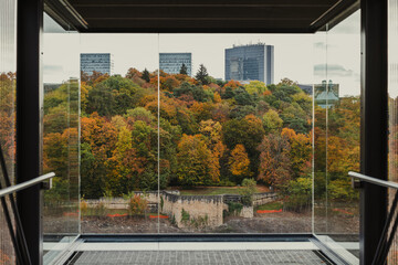 Autumn leaves and colors over Luxembourg city