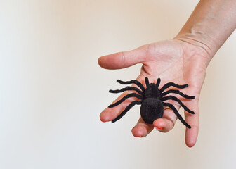 Close-up of a black hairy spider toy in someone's hand.