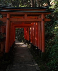 Fototapeta na wymiar An entrance to a pathwalk in a forest with large orange Torii gates at Fushimi Inari Shrine in Kyoto in Japan