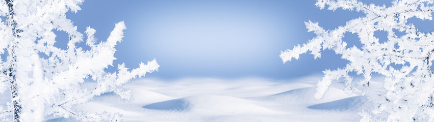 Fototapeta na wymiar Banner with copy space branches covered with hoarfrost and drifts of snow