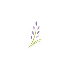 Green violet lavender flowers. flat icon isolated on white. Vector illustration.
