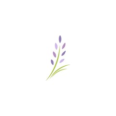 Green violet lavender flowers. flat icon isolated on white. Vector illustration.