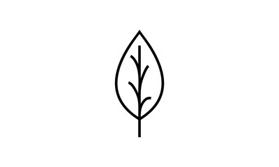 icon leaf vector