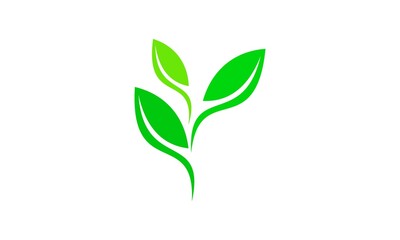 Fototapeta na wymiar leaf icon vector