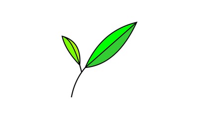 leaf logo icon