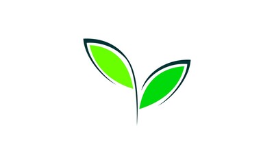 logo icon leaf