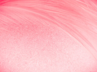 Fototapeta premium Beautiful abstract gray and pink feathers on white background, white feather frame texture on pink pattern and pink background, love theme wallpaper and valentines day
