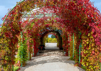 Decorative colorful arch of autumnal plants and leaves in public park
