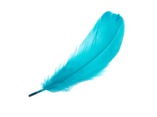 Blue fluffy feather isolated on the white