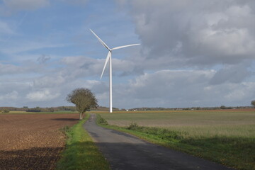 wind turbine