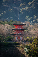 Naklejka premium The red tower of the Taisanji Temple at Kiyomizudera Temple in Kyoto in Japan