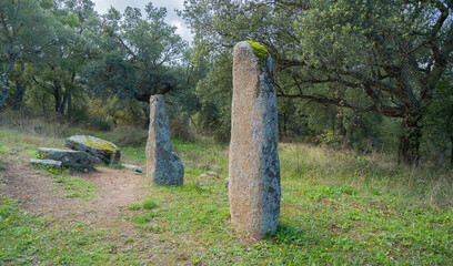 Menhir megalith stone in Sardinia Sardegna Italy big megalith stone standing in field archeological monument history, Biru concise, Sorgono, Sardinia