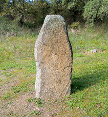 Menhir megalith stone in Sardinia Sardegna Italy big megalith stone standing in field archeological monument history, Biru concise, Sorgono, Sardinia