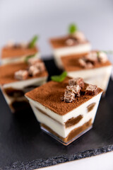 Tiramisu dessert with chocolate and mint 