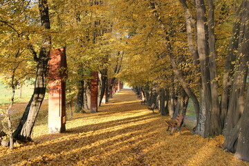 Polska - Mazury - Warmia. Sanktuarium Maryjne w Gietrzwałdzie. Alejka parkowa.