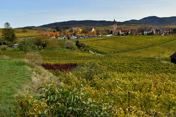 Fototapeta na wymiar Blick auf Burkheim im Kaiserstuhl im Herbst