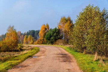 Fototapeta premium Złota polska jesień na Podlasiu