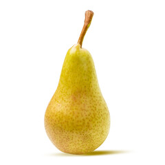 Conference pear isolated on white background