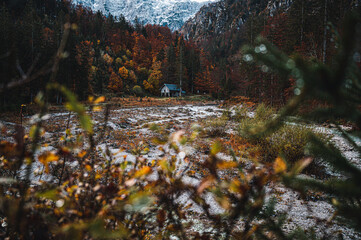 Hütte im Herbst - Salzkammergut  - Oberösterreich