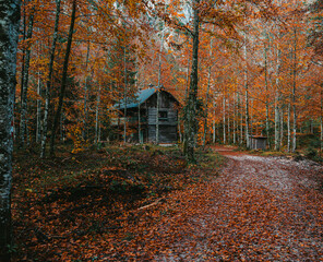 Hütte im Herbst - Salzkammergut  - Oberösterreich