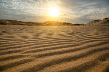 Beautiful desert landscape with dunes. Walk on a sunny day on the sands.