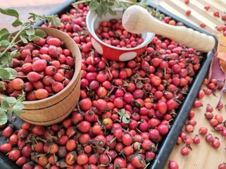 Harvest of juicy rose hips on a baking sheet and rose hip tea close-up.