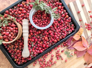 Harvest of juicy rose hips on a baking sheet and rose hip tea close-up.
