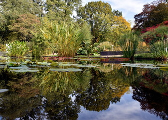Botanischer Garten in Freiburg im Herbst