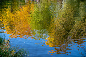 Bright reflection of autumn trees in the water. Yellow leaves float on the surface of the water.