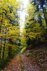 herbstliche Wanderwege