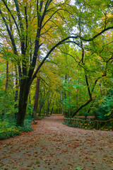 Beautiful public park photography, Beautiful autumn nature photography
