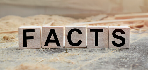 The word FACTS is written on wooden cubes. Wooden cubes in the open air, overlooking the countryside. For business related design. Marketing concept.